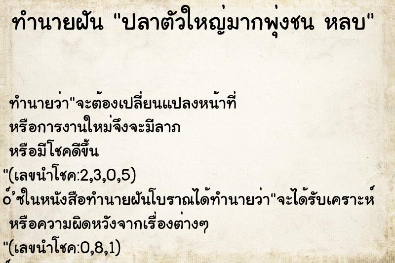 ทำนายฝันปลาตัวใหญ่มากพุ่งชนหลบ ทำนายฝันทำนายฝันปลาตัวใหญ่มากพุ่งชนหลบ